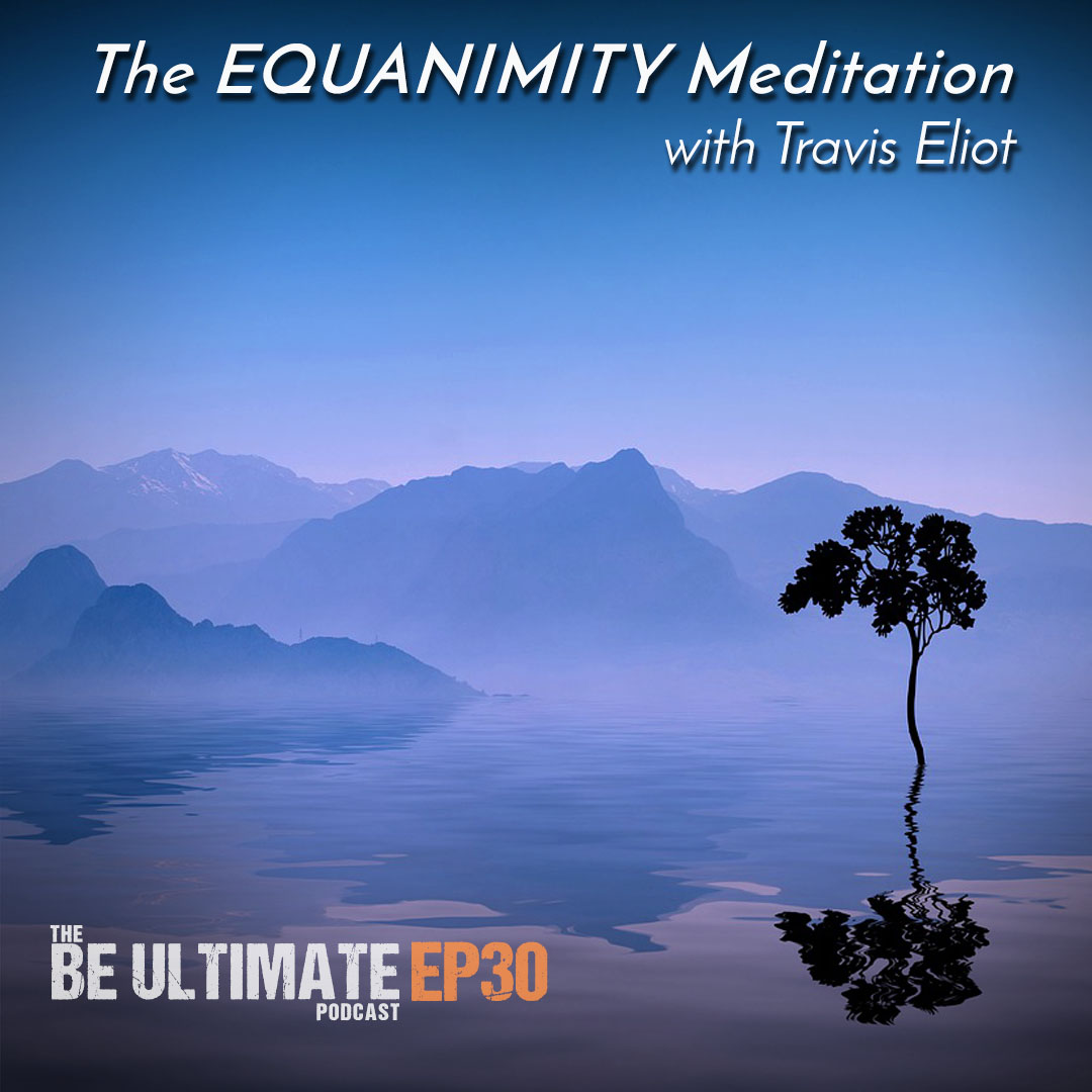 The EQUANIMITY Meditation (20 min.) - Travis Eliot